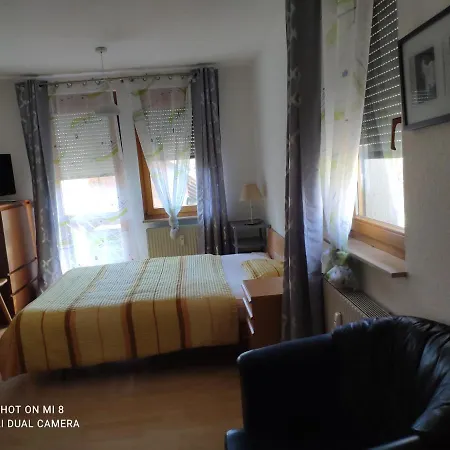 Loewen Dettighofen (Waldshut)