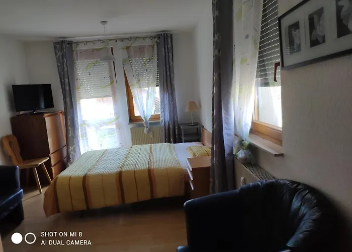 Loewen Dettighofen (Waldshut)